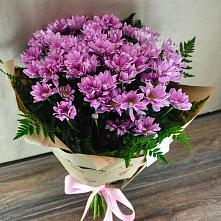 Букет цветов из:  Хризантемы #REPLACE_PRED# Тымовское