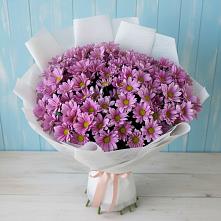 Букет цветов из:  Хризантемы в Тымовское