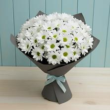 Букет цветов из:  Хризантемы в Тымовское