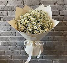 Букет цветов из:  Ромашки в Тымовское