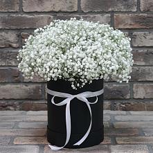 Цветочная композиция из Гипсофила в шляпной коробке #REPLACE_PRED# Тымовское