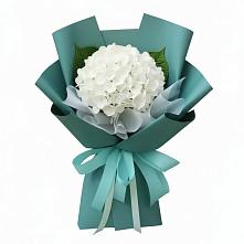 Букет цветов из:  Гортензия в Тымовское